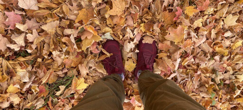 Photo by Jared Sipple